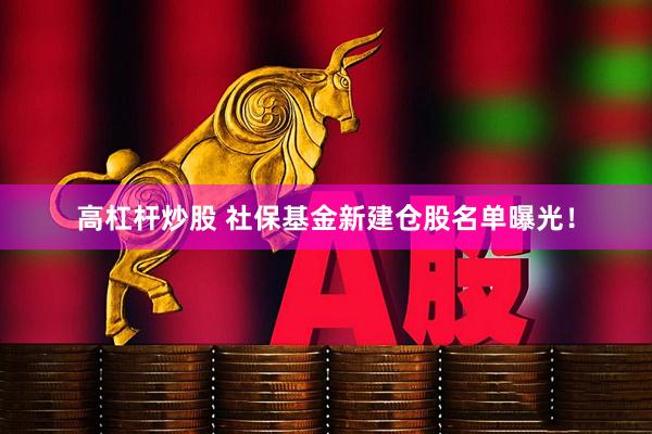 高杠杆炒股 社保基金新建仓股名单曝光！