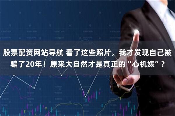股票配资网站导航 看了这些照片，我才发现自己被骗了20年！原来大自然才是真正的“心机婊”？
